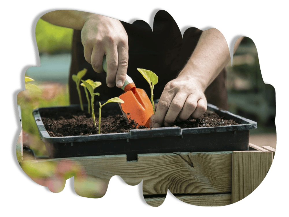 Seller-Nursery